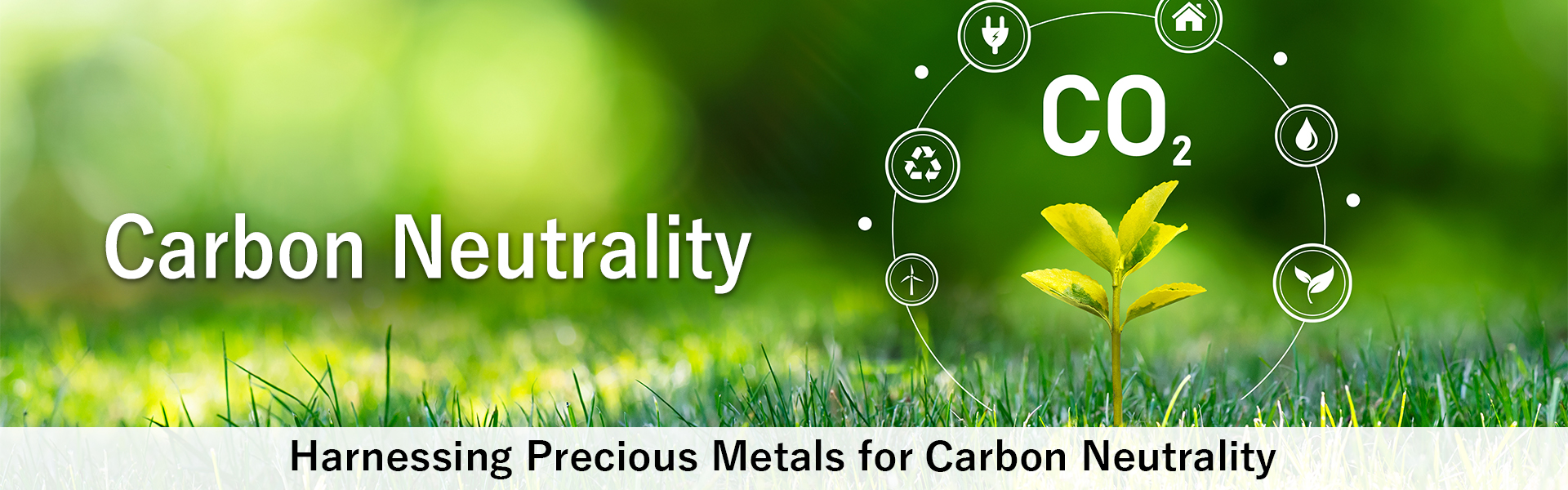Carbon Neutrality
