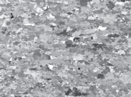 Gold target microstructure SEM image