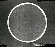 Enlarged cross section of Platinum Clad Wire