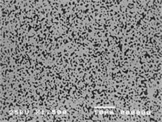 Example of oxides dispersed in the CoCrPt-SiO2 target (Black dots: SiO2, matrix: uniformly distributed CoCrPt alloy)