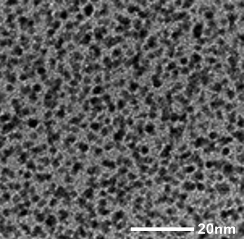 Precious metal nanoparticles: Pt PVP TEM images