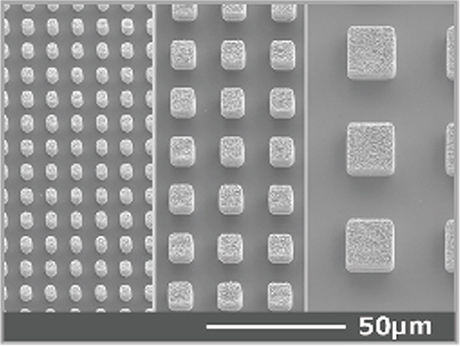 SEM image about production of bumps of various sizes to show free design of shape