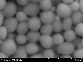 AuRoFUSE™ sintering @150℃・5min (expanded)