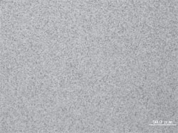 Metal texture of TSE-212F