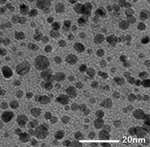 Precious metal nanoparticles: Pd PVP TEM images