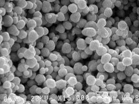 AuRoFUSE™ sintering @200℃・5min