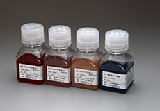 Image of acceptance contents 3