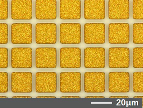 SEM image of top view showing high-density mounting