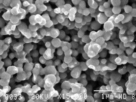 AuRoFUSE™ sintering @300℃・5min