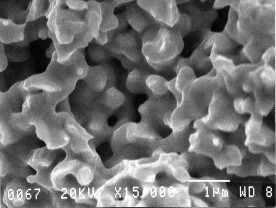 AuRoFUSE™ sintering @400℃・5min