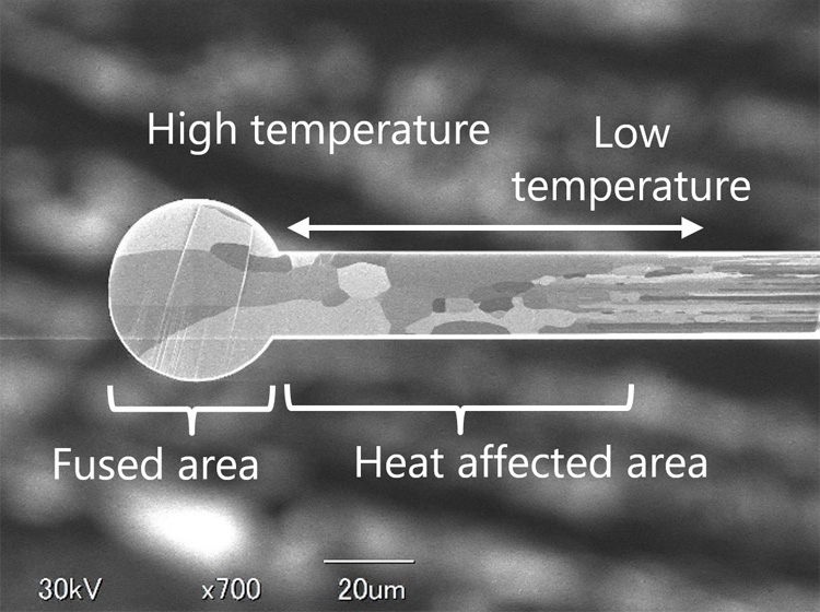 Pt Cross-sectional diagram
