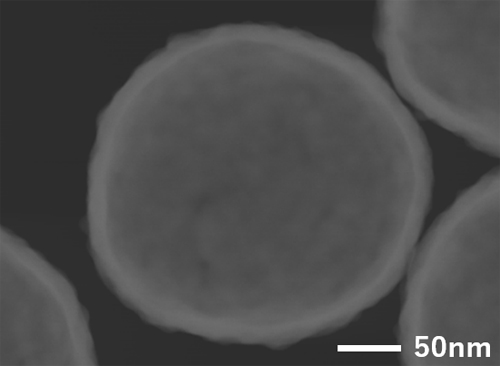 STEM image of gold nanoshell particles (220 nm)①