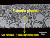 [Changes in the cross-sectional structure of the lid with different Au/Sn compositions]AuSn20
