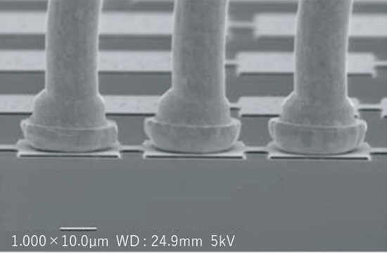 SEM image of 35µm BPP Bonding