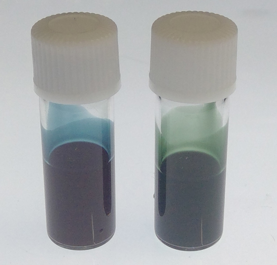 Gold nanoshell particles dispersing liquid: Left: 100 nm, Right: 220 nm