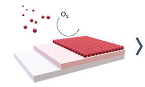 Two-stage film deposition process using TRuST_2nd stage: Ru film deposition using O2