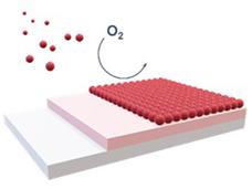 Two-stage film deposition process using TRuST_2nd stage: Ru film deposition using O2