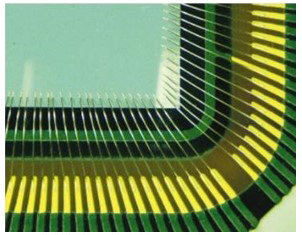 Loop Shape of TABN Φ30µm SR type