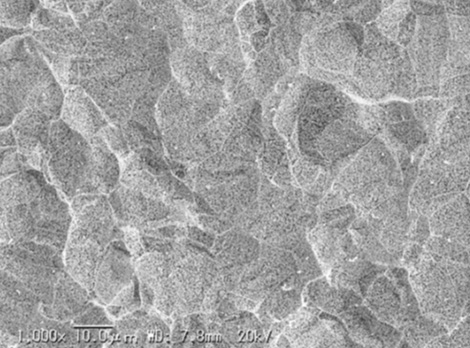 Surface SEM image: Insoluble Electrodes Platinum 0.1µm