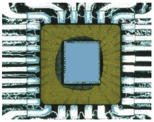 Loop Shape of TABW Φ30µm SR type