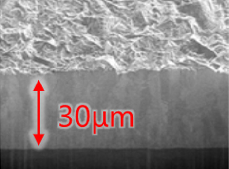 Cross-sectional SEM image: Insoluble Electrodes Platinum 30.0µm