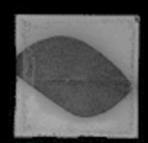 SAT image after heat cycle test of normal sintering