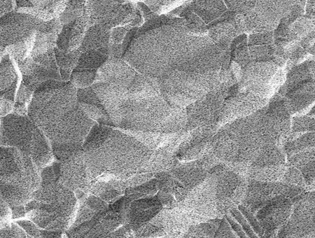 SEM × 1000 image of Micro Plate