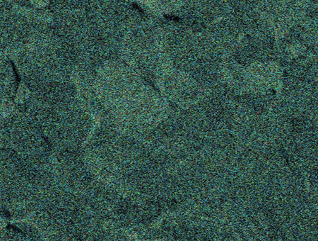SEM-EDX Pt mapping of Micro Plate