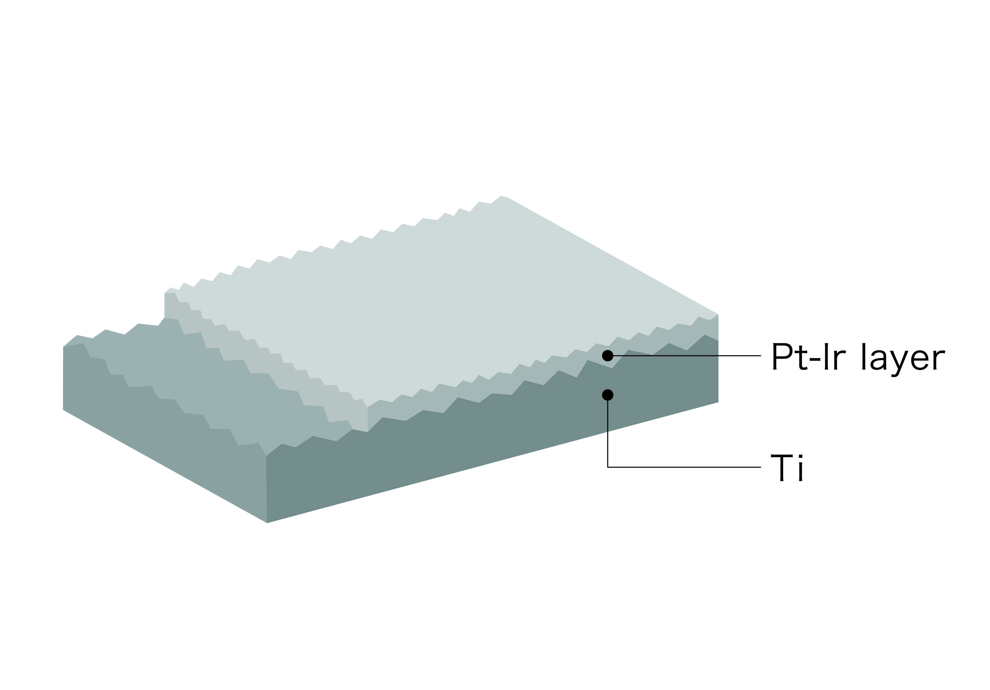 Conceptual image of catalyst layer structure of KP #34