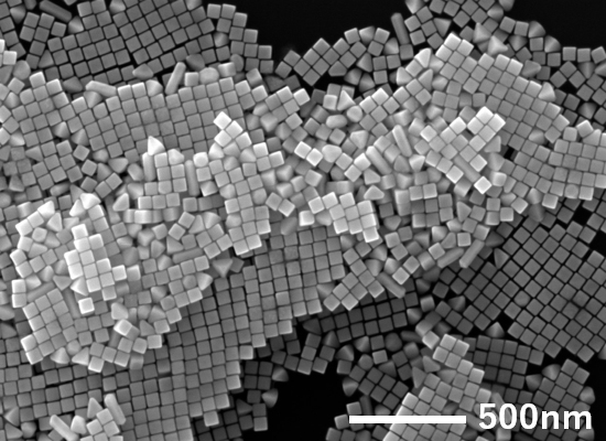 SEM image of gold nanocube with a side of approx. 50 nm