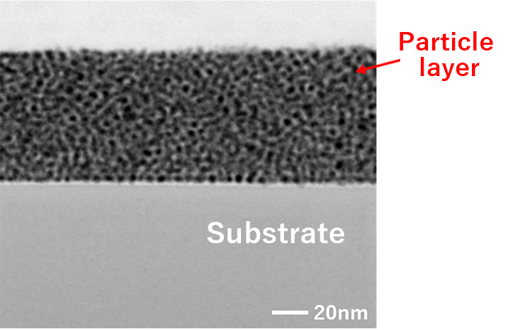 Image of the cross-section of particles coated with a film formed by spin coating