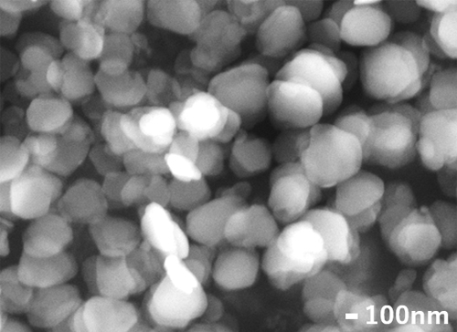 SEM image of Ag12 cluster assembly