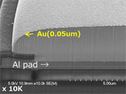 Ni/Au plating - Φ50um pad: cross-section SEM image