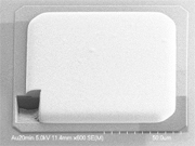 Ni/Pd/Au plating - □100um pad: surface SEM image