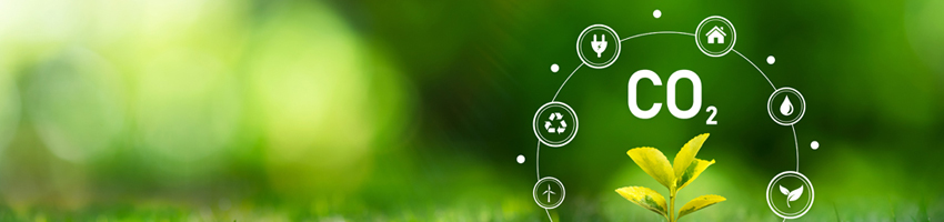 The role of precious metals to contribute to carbon neutrality