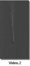 Video.2