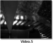 Video.5